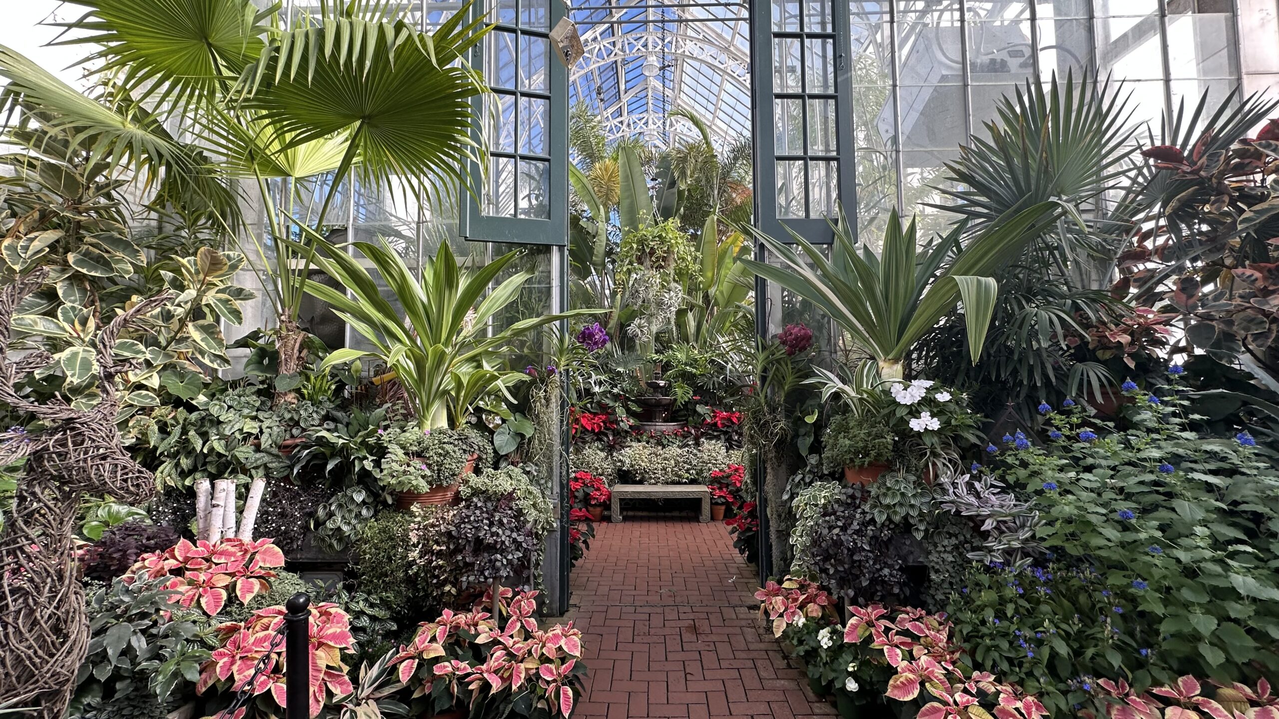 plants sprout above in garden